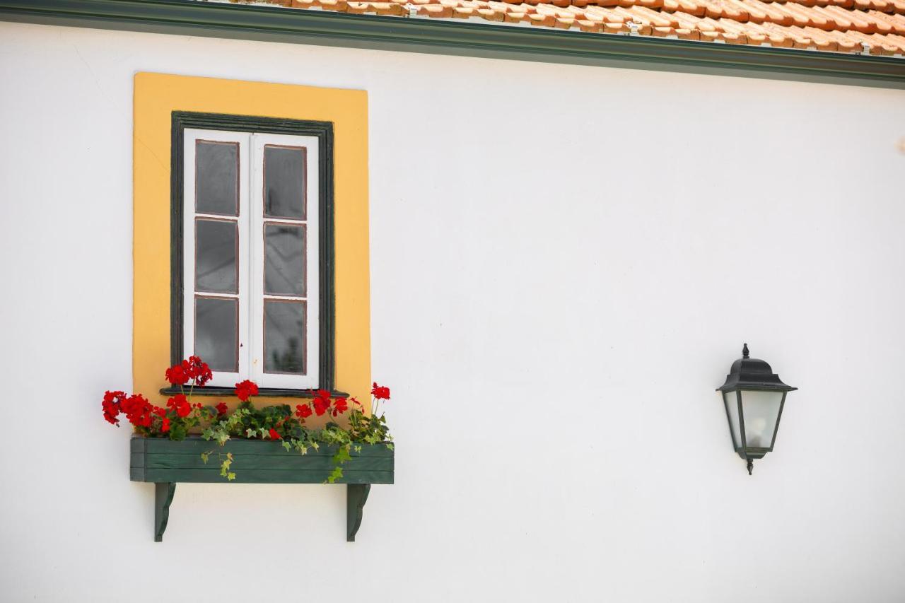 Casa D'Oliveira Bed & Breakfast Aveiro Ngoại thất bức ảnh